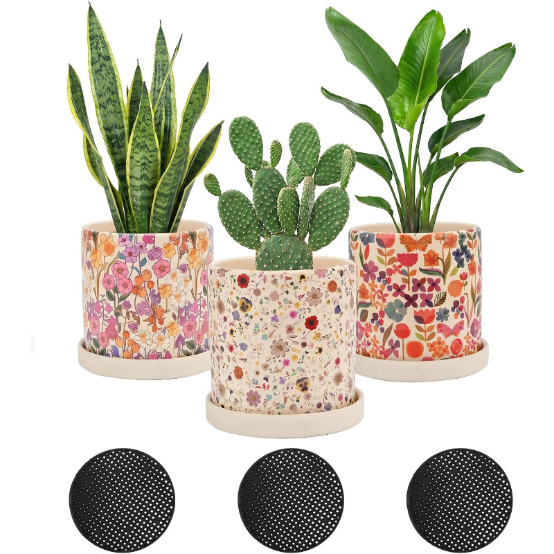 Snake Plant Ceramic - 3-teiliges Set Keramik-Blumentöpfe mit Abflusslöchern und