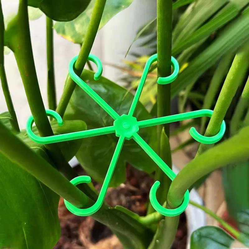 Blume Pflanze Stem Unterstützu – Plant Support Stake Bewertung und Preis