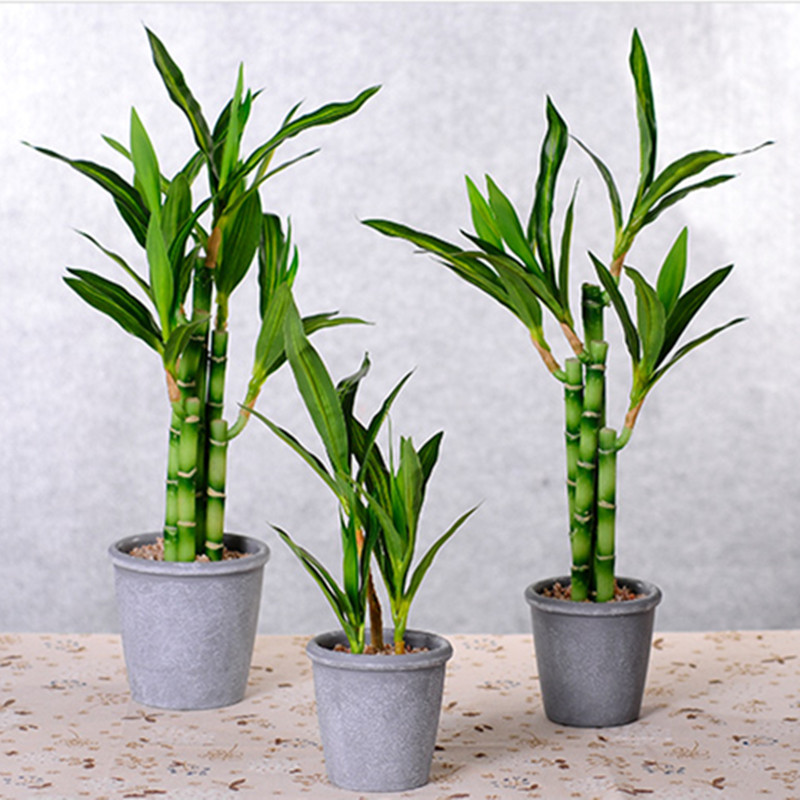 Neue 40cm Künstliche Glücksbam – Succulent Set Bewertung und Preis