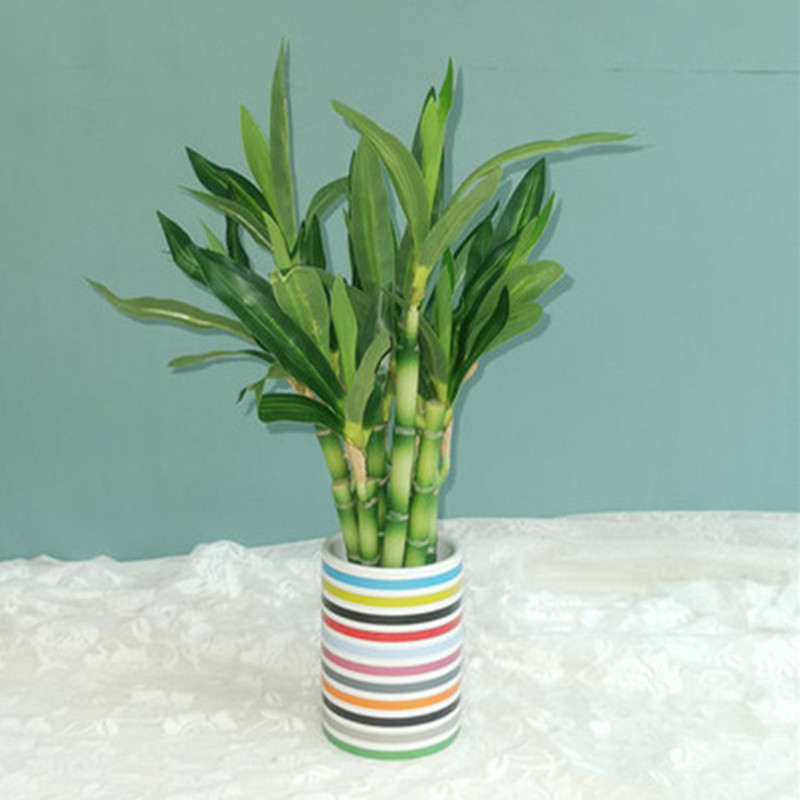 Neue 40cm Künstliche Glücksbam – Succulent Set Bewertung und Preis