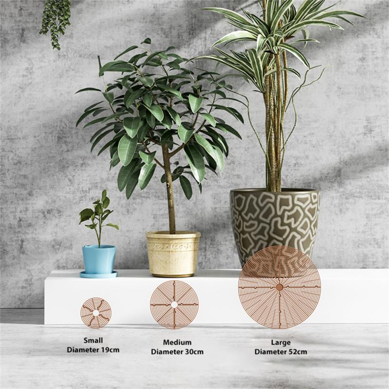 Blumentopf-Abdeckung Pflanzeng – Terracotta Pot Bewertung und Preis