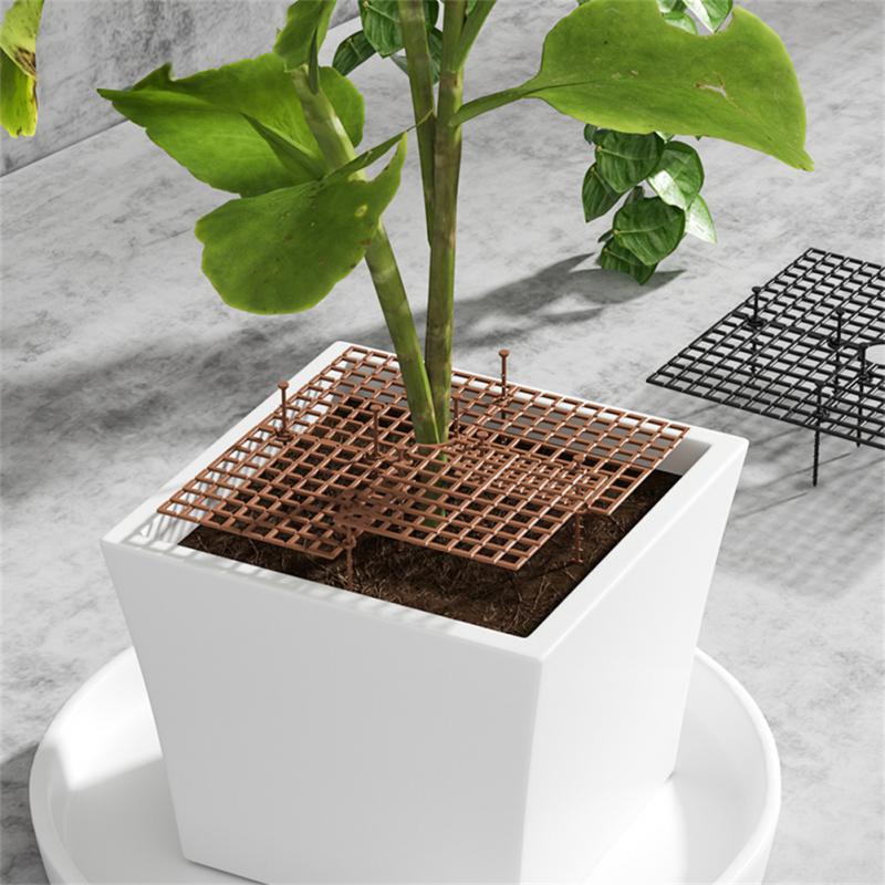 Blumentopf-Abdeckung Pflanzeng – Terracotta Pot Bewertung und Preis