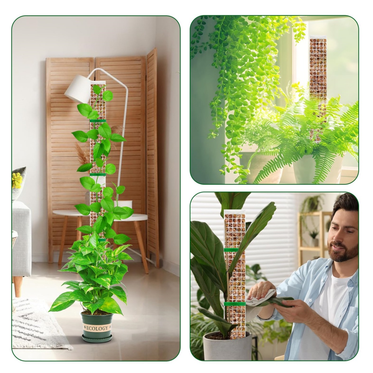 Stapelbare Kunststoff-Moosstan – Plant Support Stake Bewertung und Preis