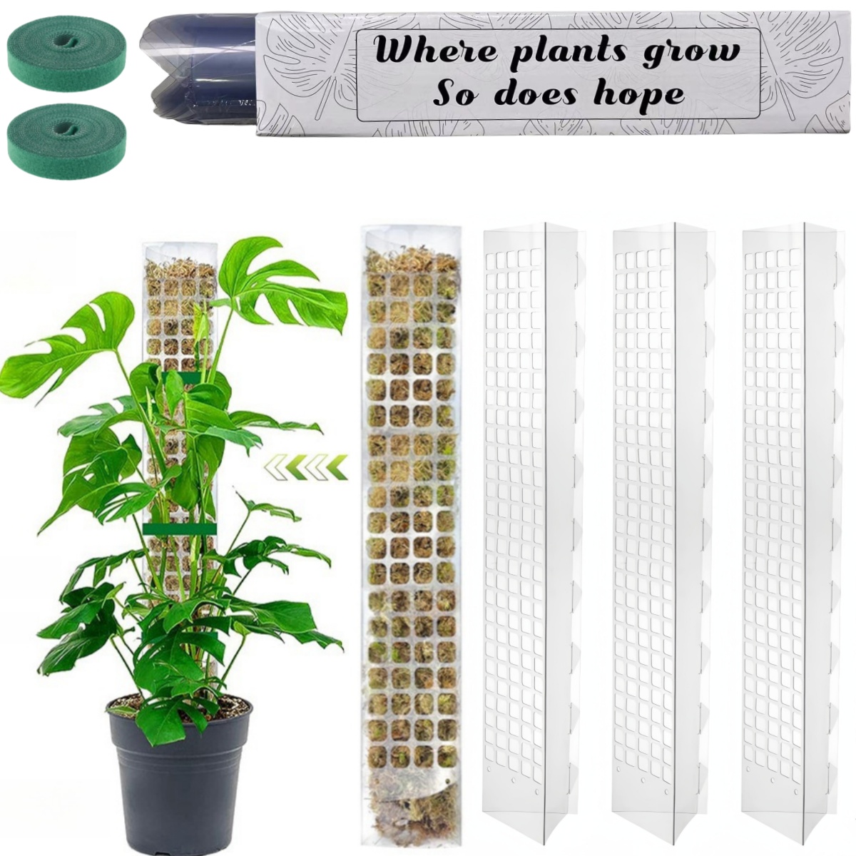 Moos Pole Kunststoff Pflanzens – Plant Support Stake Bewertung und Preis
