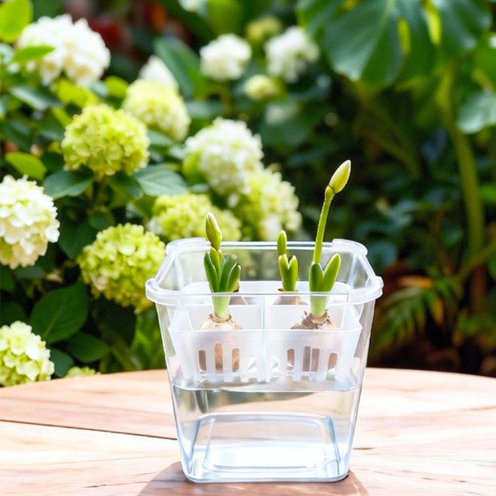 Hydroponische Vase für Tulpen- – Plant Pot Bewertung und Preis