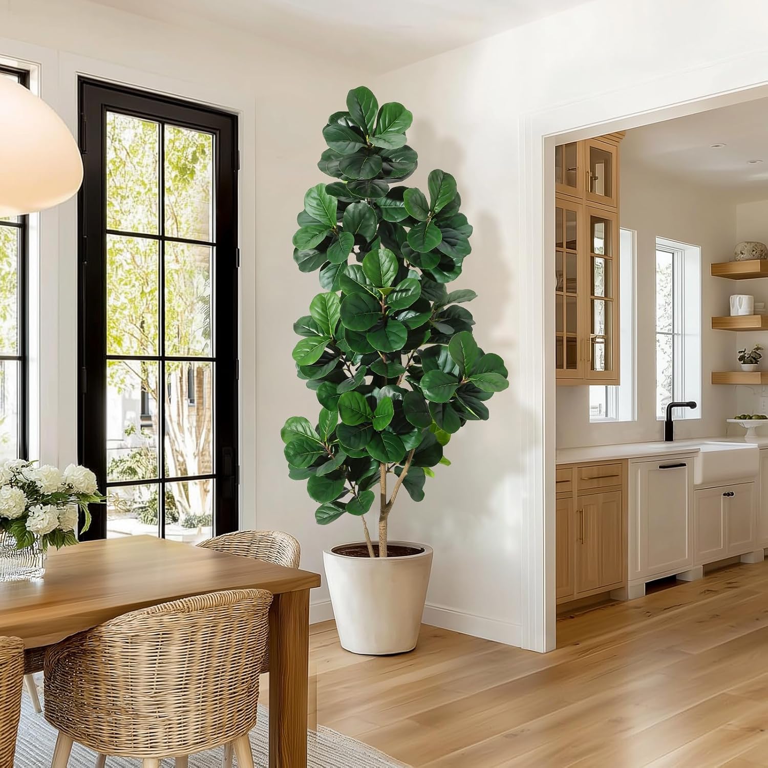 4–7 Fuß Geigenblatt-Feigenbaum – Fiddle Leaf Fig Bewertung und Preis