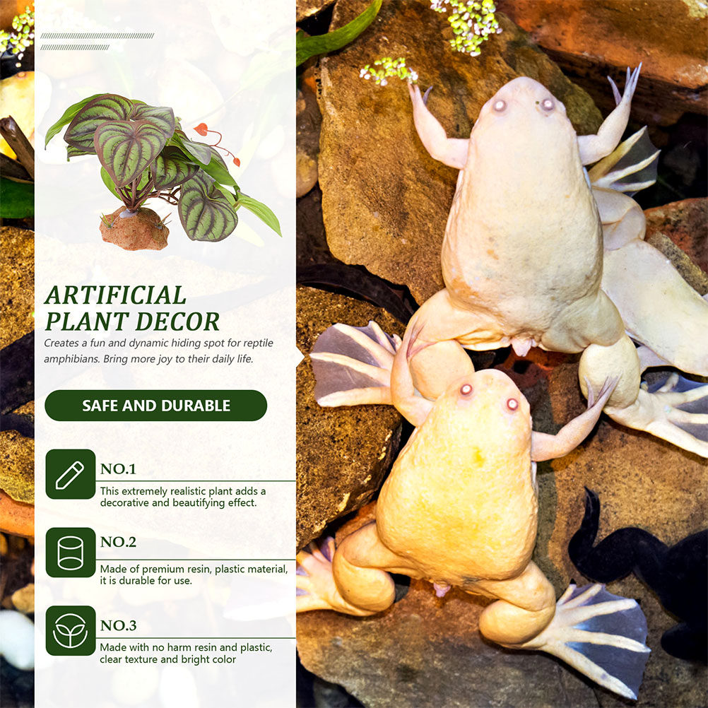 Hochwertige Simulations-Terrar – Snake Plant Bewertung und Preis