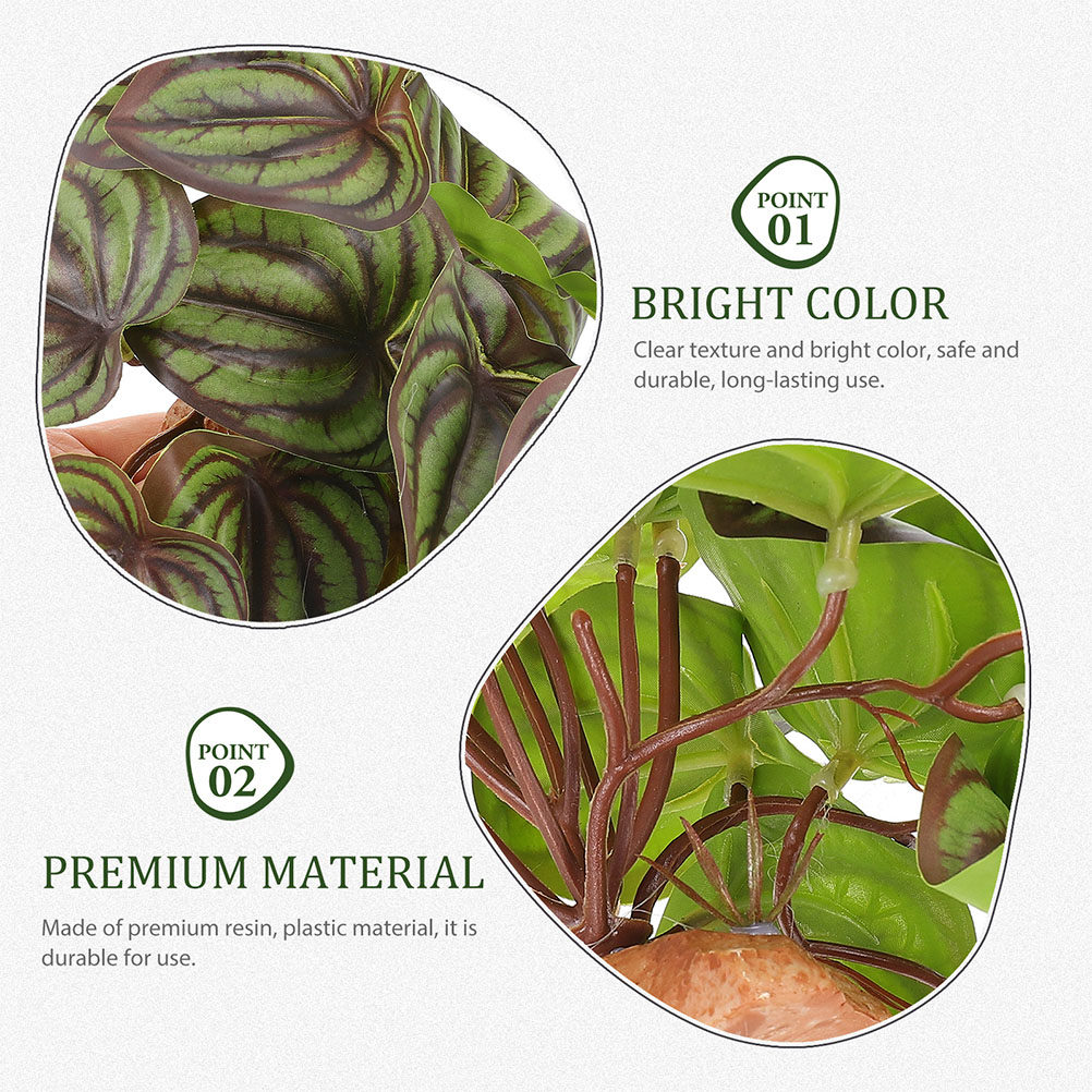 Hochwertige Simulations-Terrar – Snake Plant Bewertung und Preis