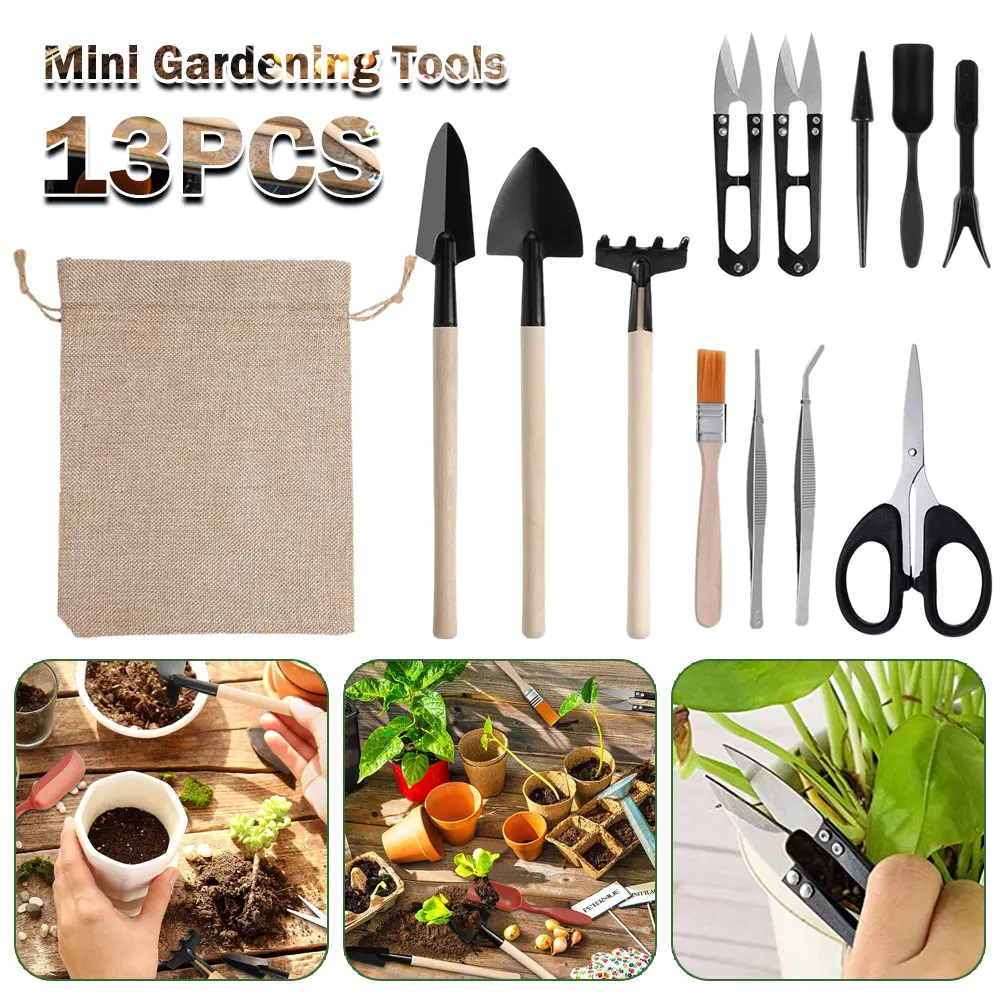 13 Stück Sukkulenten Werkzeugs – Succulent Set Bewertung und Preis
