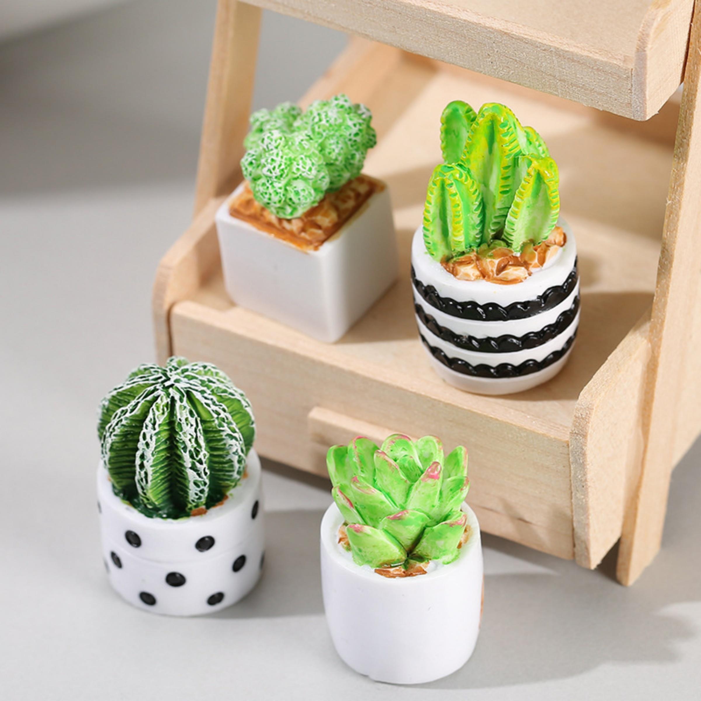 4-teiliges Set aus Kaktus-Sukk – Succulent Set Bewertung und Preis