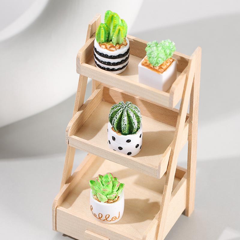 4-teiliges Set aus Kaktus-Sukk – Succulent Set Bewertung und Preis