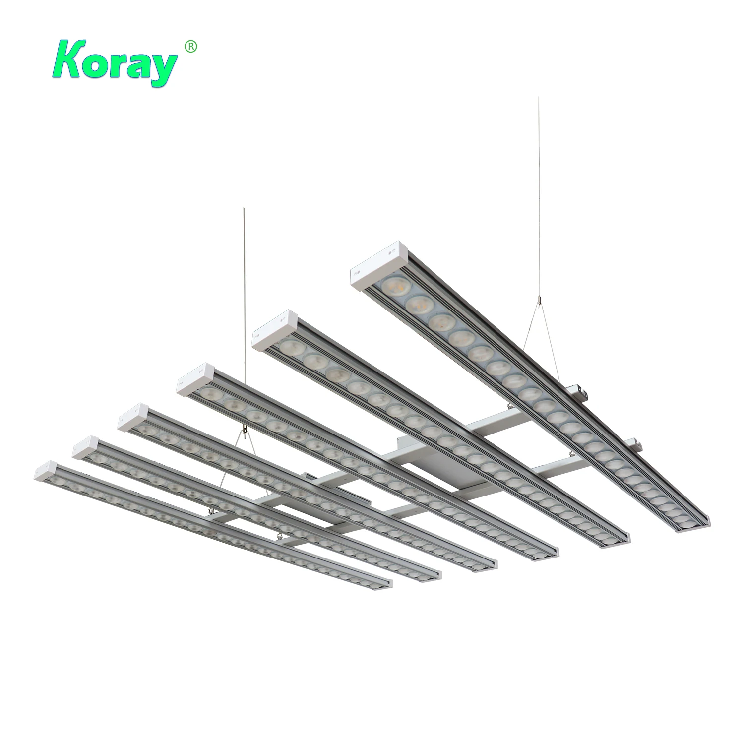 Koray 900W Indoor Vollspektrum – Indoor Plants Bewertung und Preis