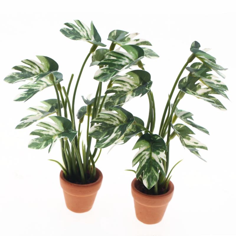 Neu. 1 Stück 1/12 Puppenhaus-S – Pothos Bewertung und Preis